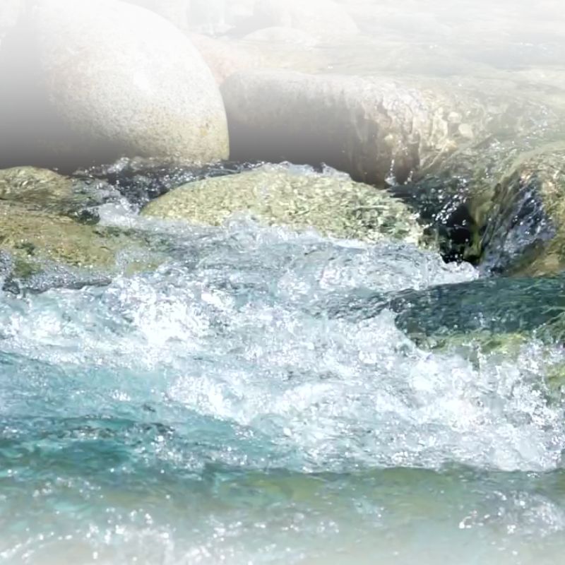 Trazos Bio peluquería Secretos del Agua 